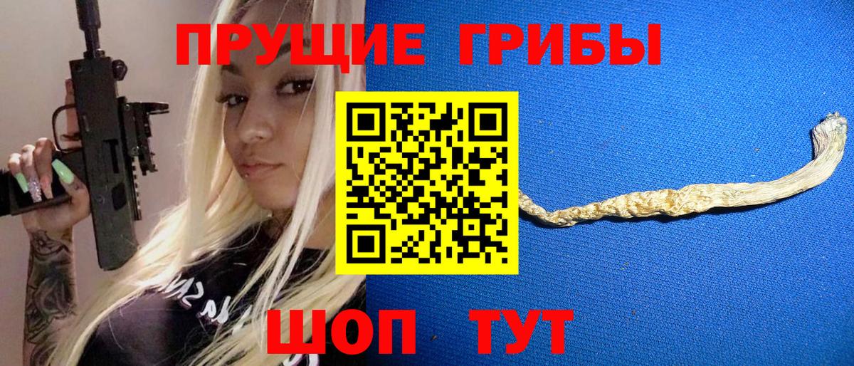 Курчатов  закладки  Псилоцибиновые грибы прущие грибы  Вход с VPN  Псилоцибиновые грибы Psilocybe 